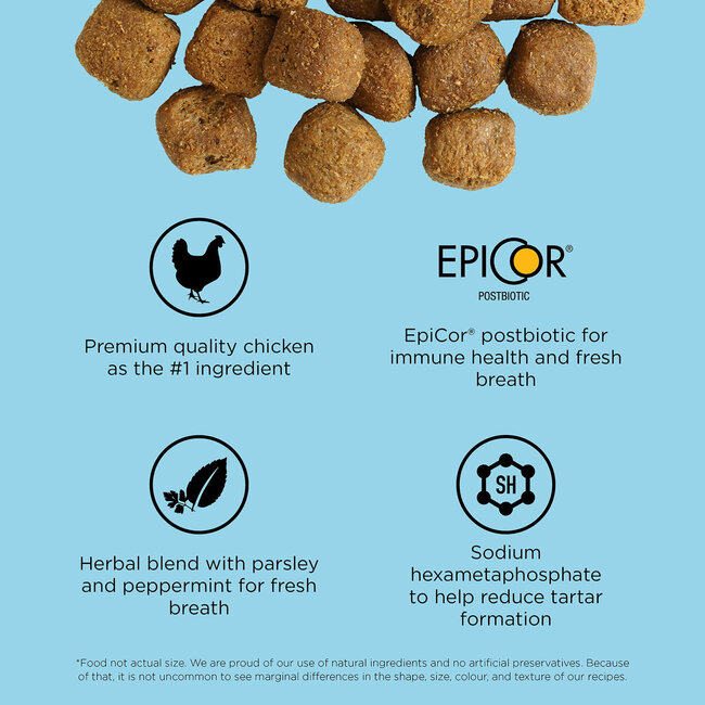 Go! Dental + Immune Health Chicken + Salmon Recipe With Grains for Cats 2.5lb