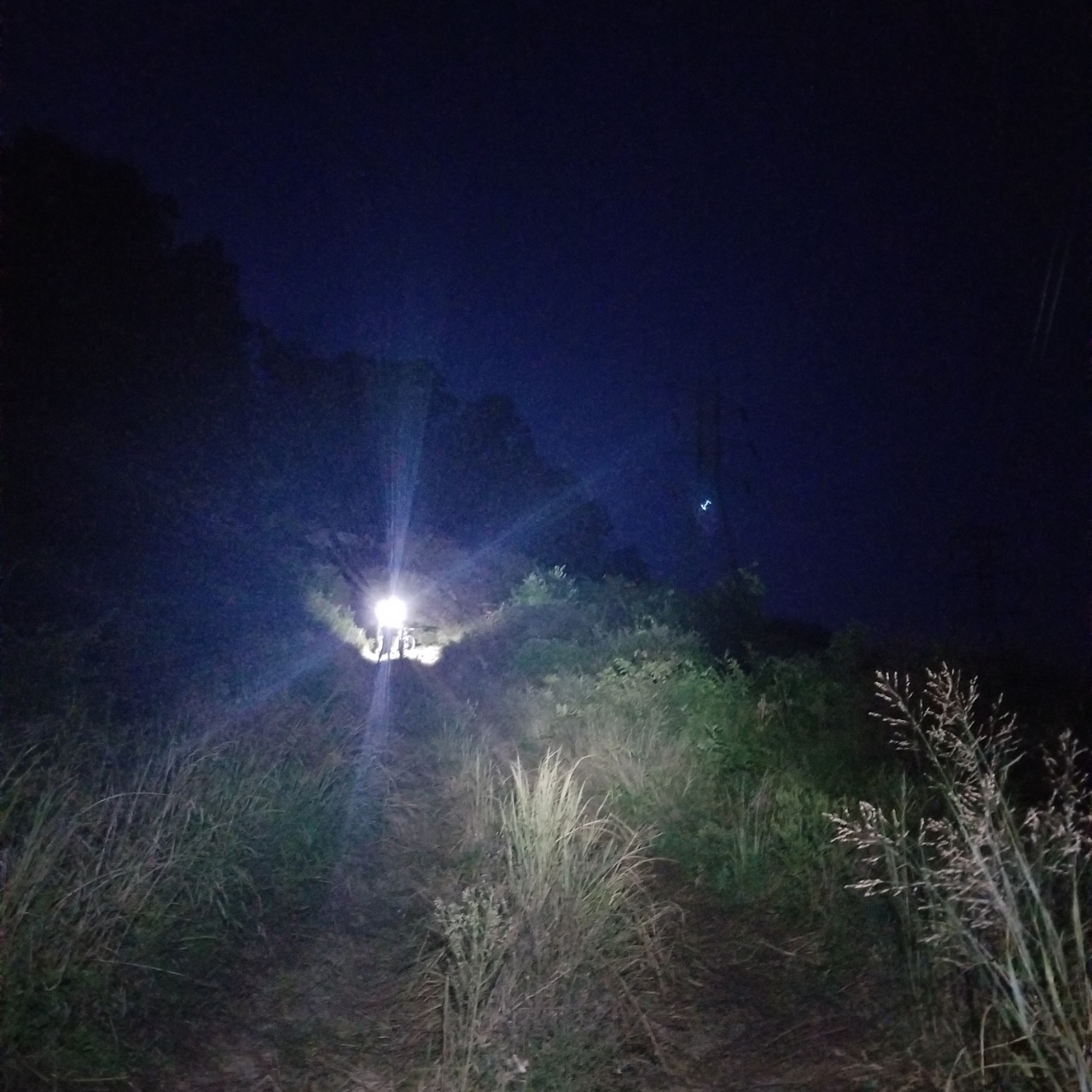 Do you have what it takes to own the night?