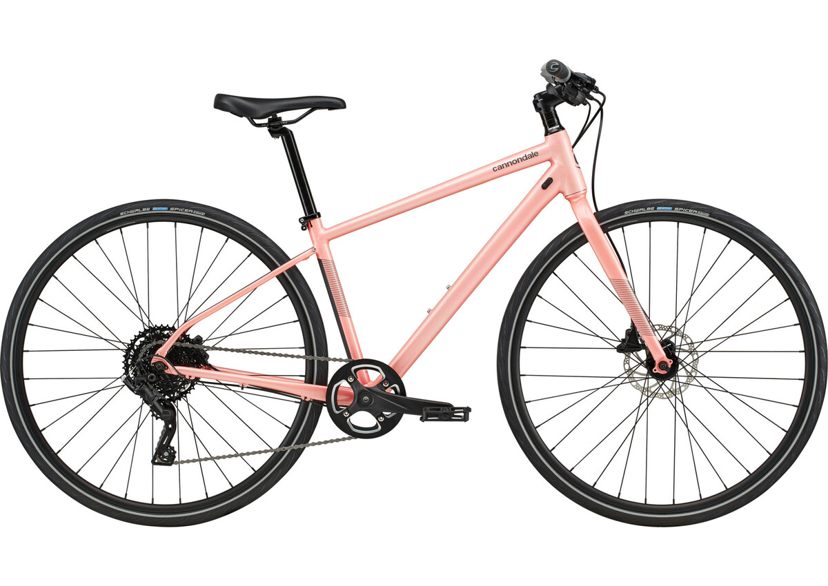 Anyone 4種類 + Fontaine Cycling