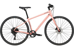 Anyone 4種類 + Fontaine Cycling Anyone 4種類 + Fontaine Cycling Anyone 4種類 + Fontaine
