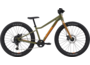 Cannondale Kids Trail Plus 24