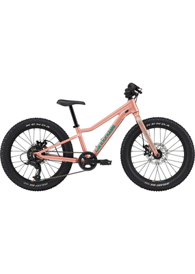 Cannondale Cannondale Kids Trail Plus 20"