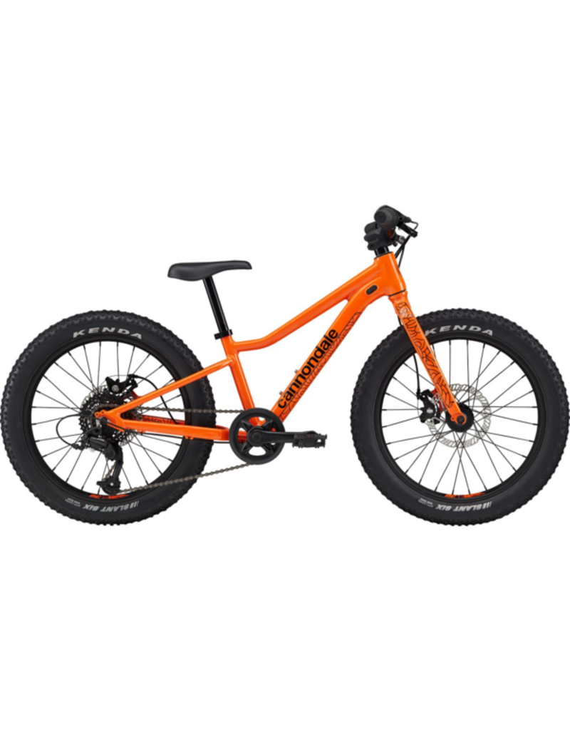 Cannondale Cannondale Kids Trail Plus 20"