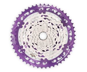E*thirteen Helix Race 12sp Cassette, 9-50t - Piermont Bicycle