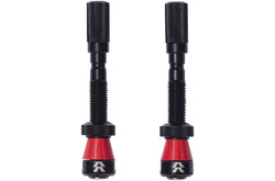 Santa Cruz Bicycles Reserve Fillmore Tubeless Valve - 50mm, Black, Pair