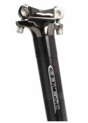 Genetic Syngenic Seatpost - 27.2 x 300mm, NLS