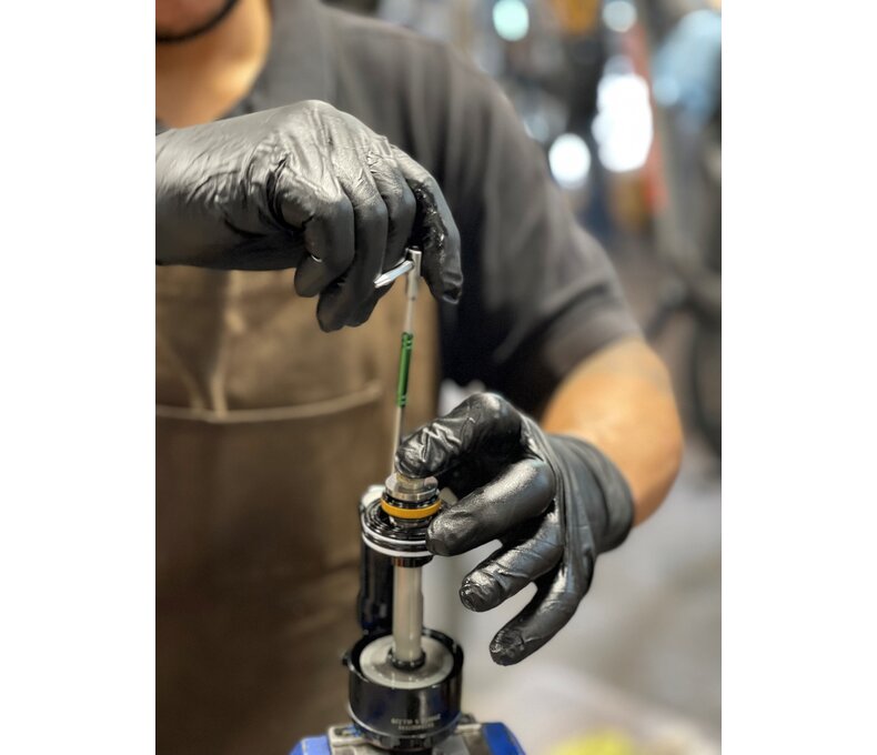 Premium appointment based tune-up