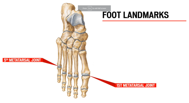 Cycling Footbeds  