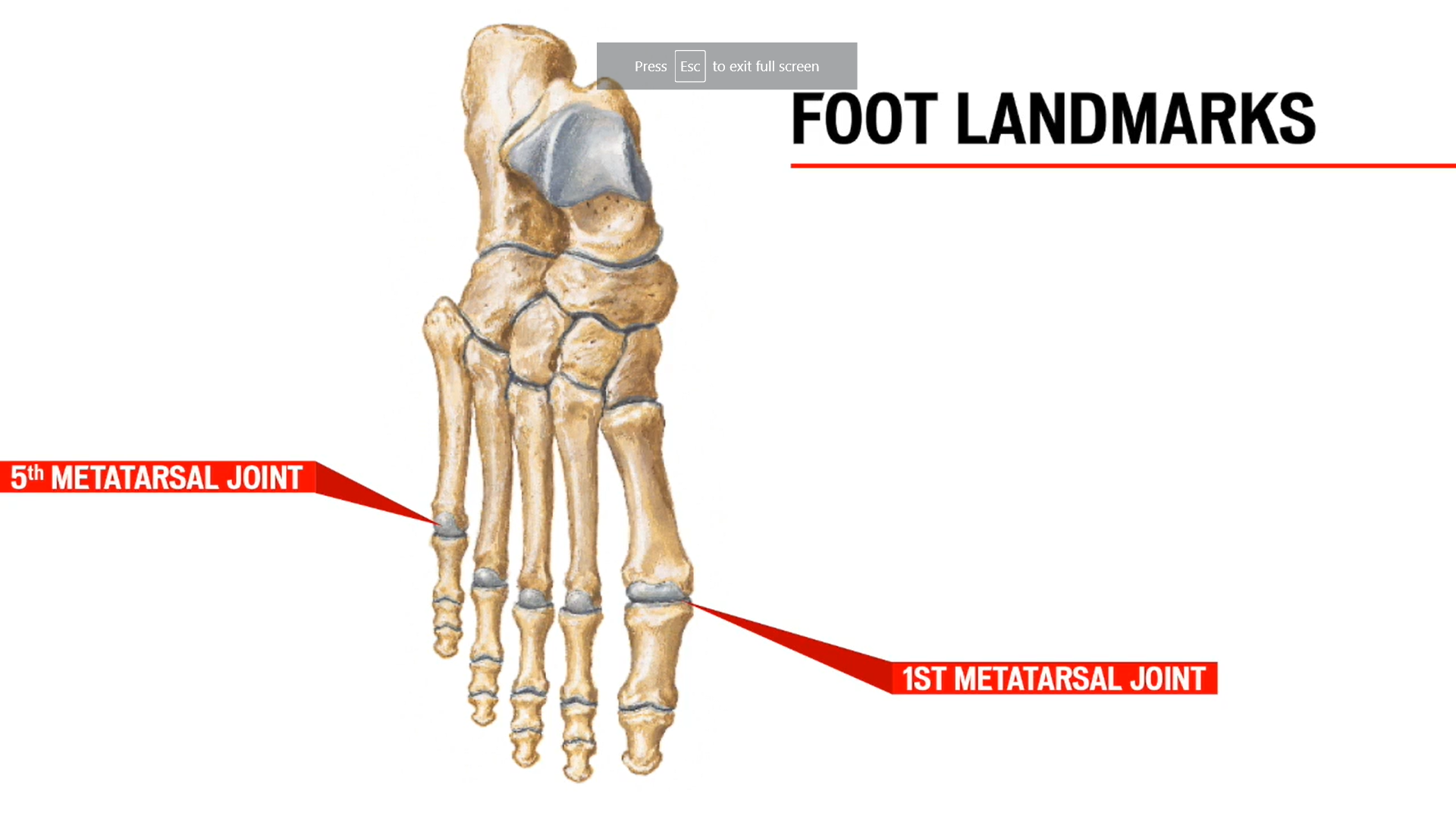 Cycling Footbeds