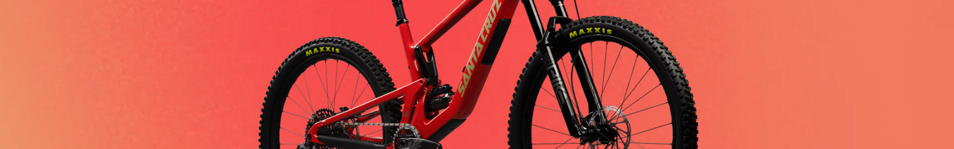 Santa Cruz Factory Sale