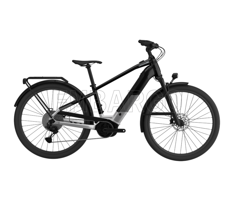 Cannondale Tesoro Neo X 3