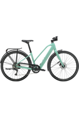 Trek Trek FX+ 2 Mid-step LT