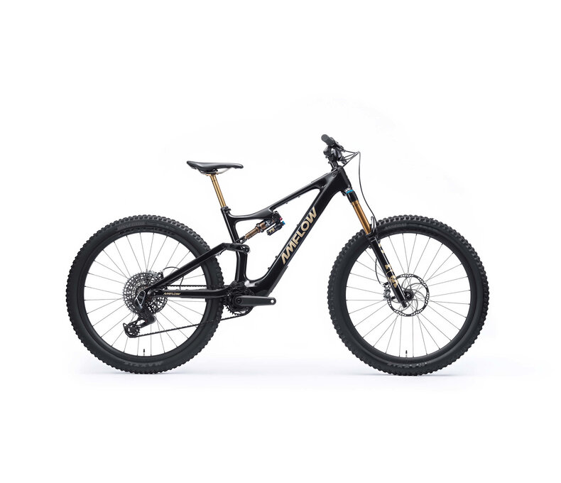 Amflow PL Carbon Pro (600Wh/800Wh)