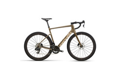 CALEDONIA FORCE AXS