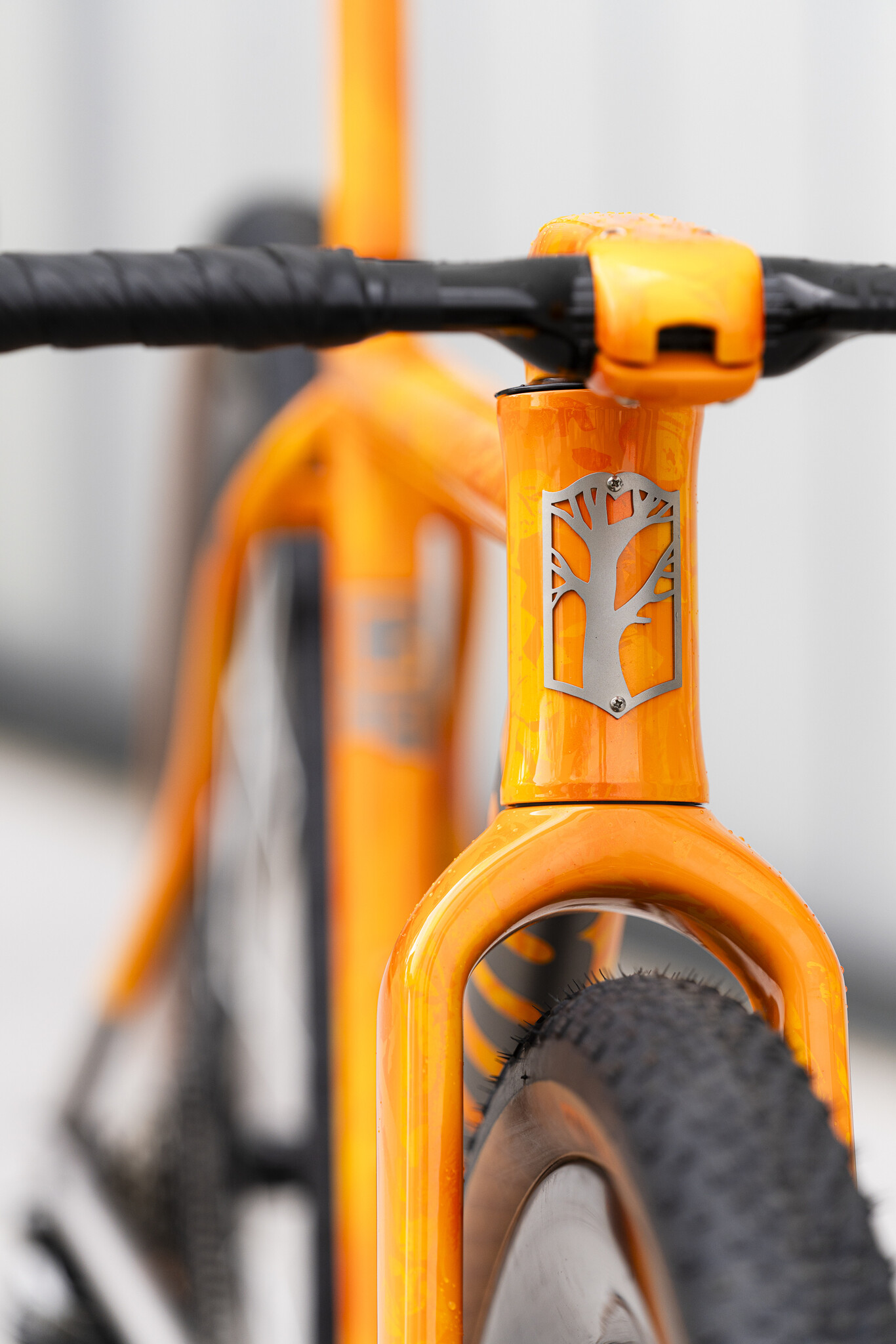 Mosaic GT i55 32 head tube with Mosaic head badge