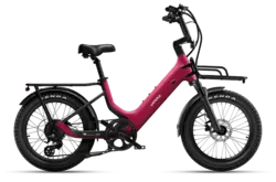 Carbon Joy E-Bike Suspension