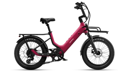 Carbon Joy E-Bike Suspension