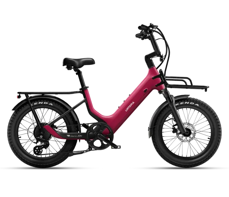 Carbon Joy E-Bike Suspension