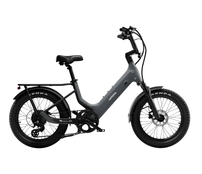 Carbon Joy E-Bike Suspension