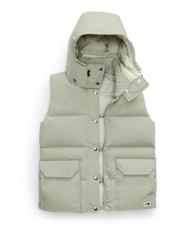 the north face hooded vest