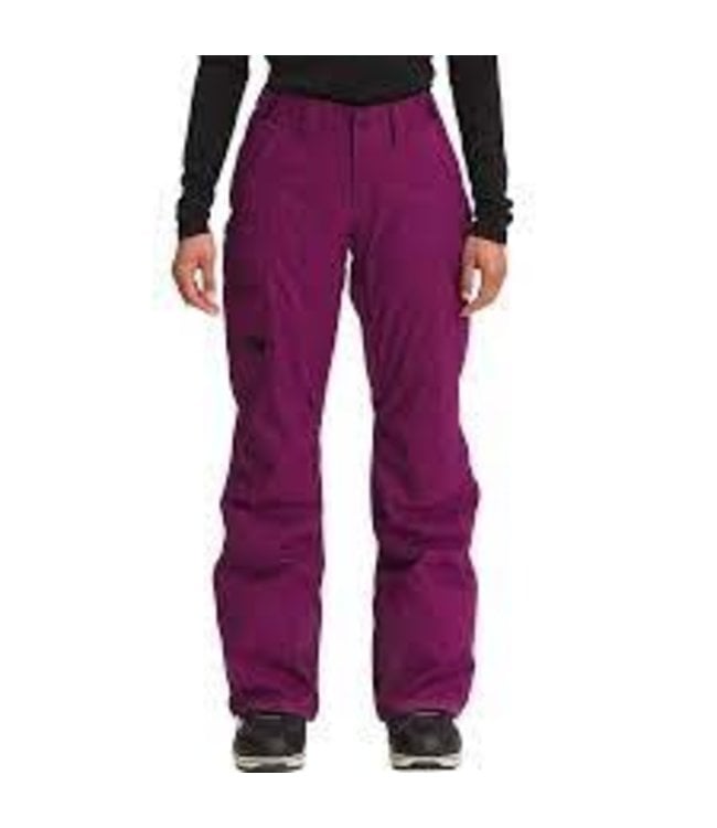 https://cdn.shoplightspeed.com/shops/632418/files/40350507/650x750x2/the-north-face-ws-freedom-insulated-pant.jpg