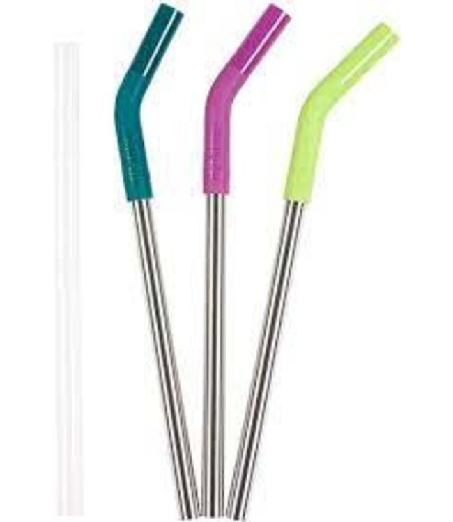 Metal Straw 3 Pack