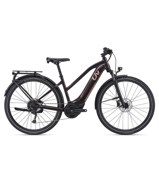 Liv Amiti-E+ 2 28MPH M Rosewood