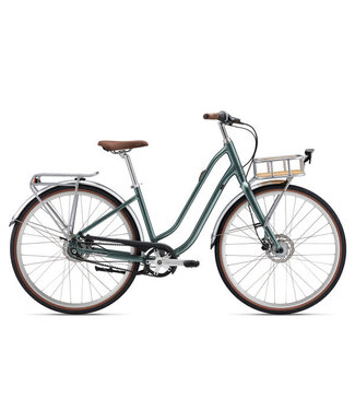 Liv Flourish 0 Disc S Silver Pine