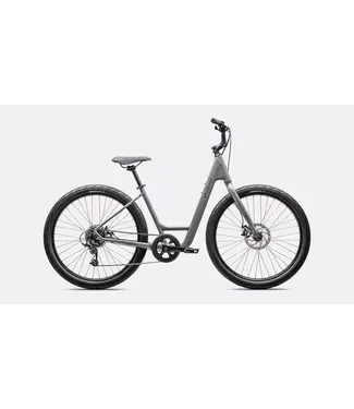 Specialized ROLL 2.0 LOW ENTRY CLGRY/SMK L