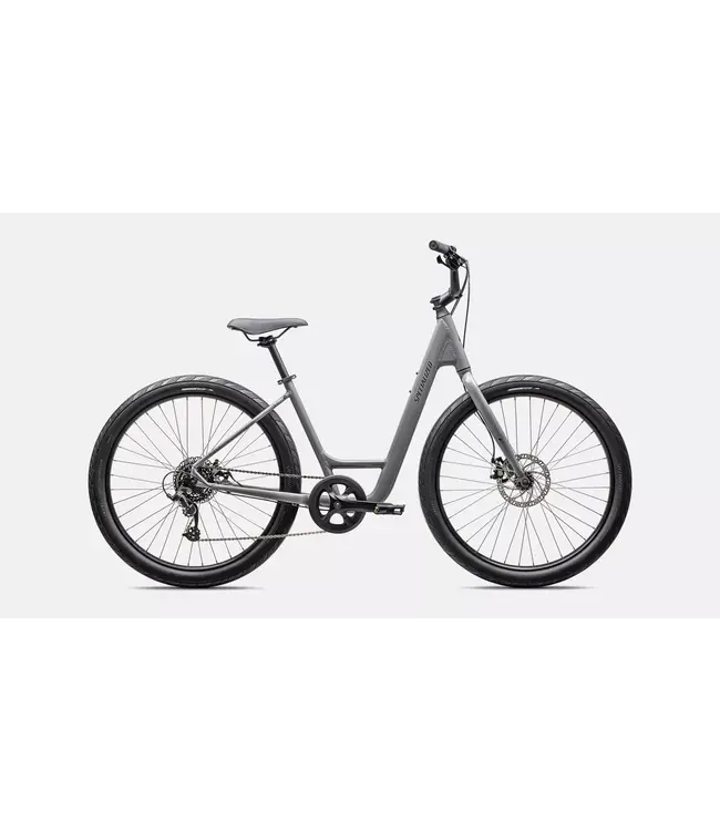 Specialized ROLL 2.0 LOW ENTRY CLGRY/SMK L