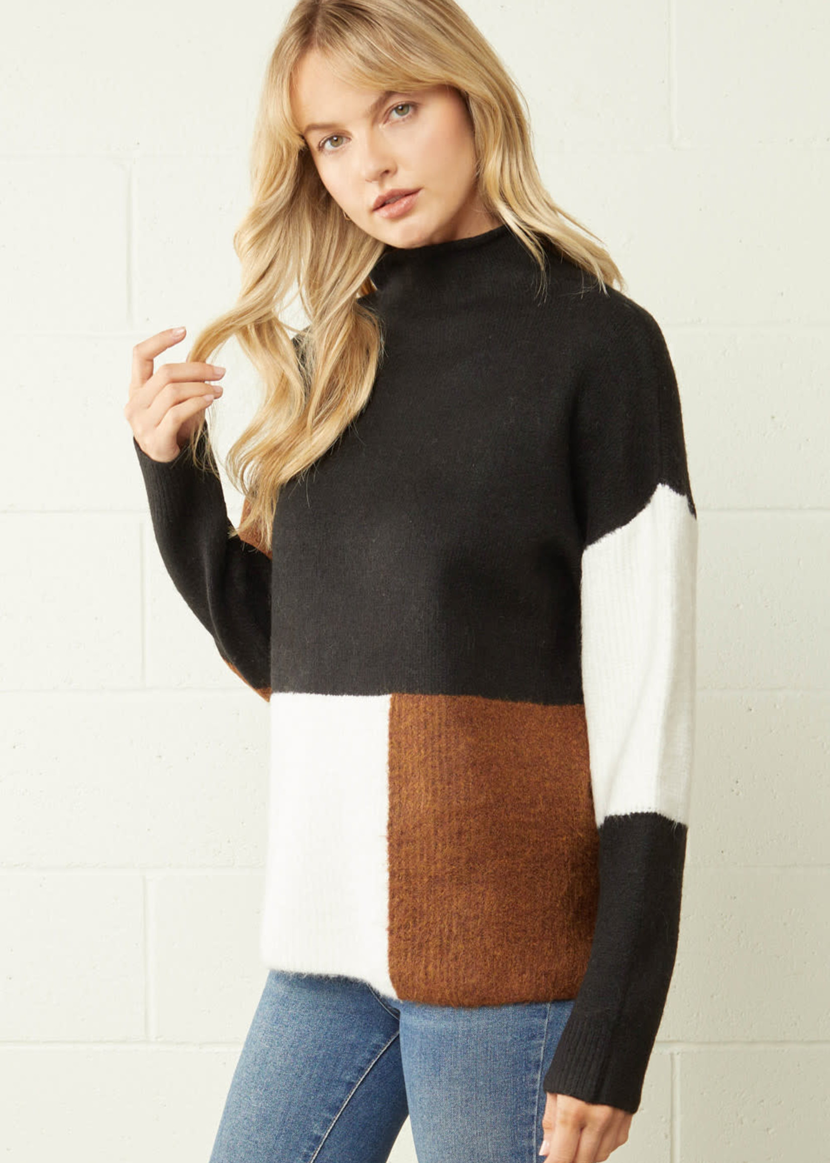 Cause We Can Colorblock Sweater (2 Colors)
