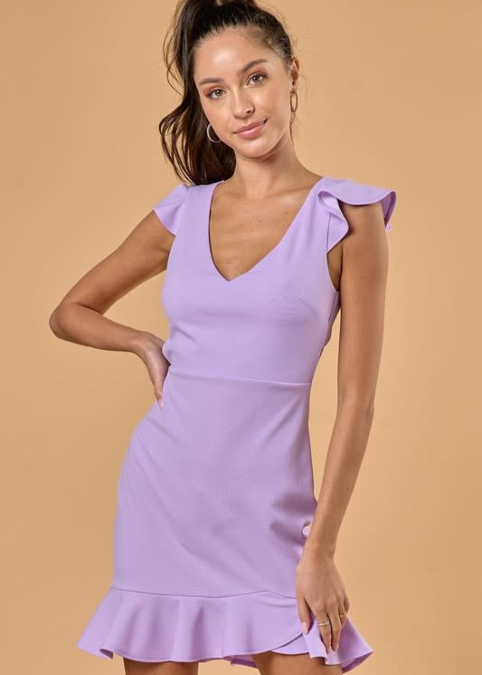 Time To Celebrate Lavender Dress