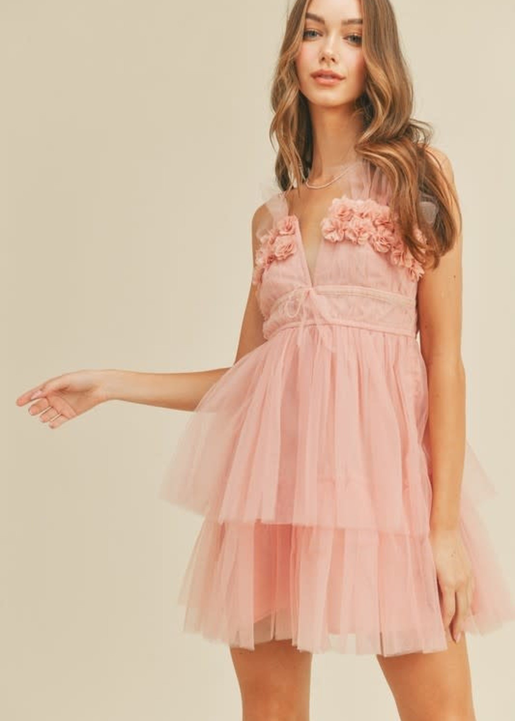 Dreams Are Made Of Tulle Dress (2 Colors)