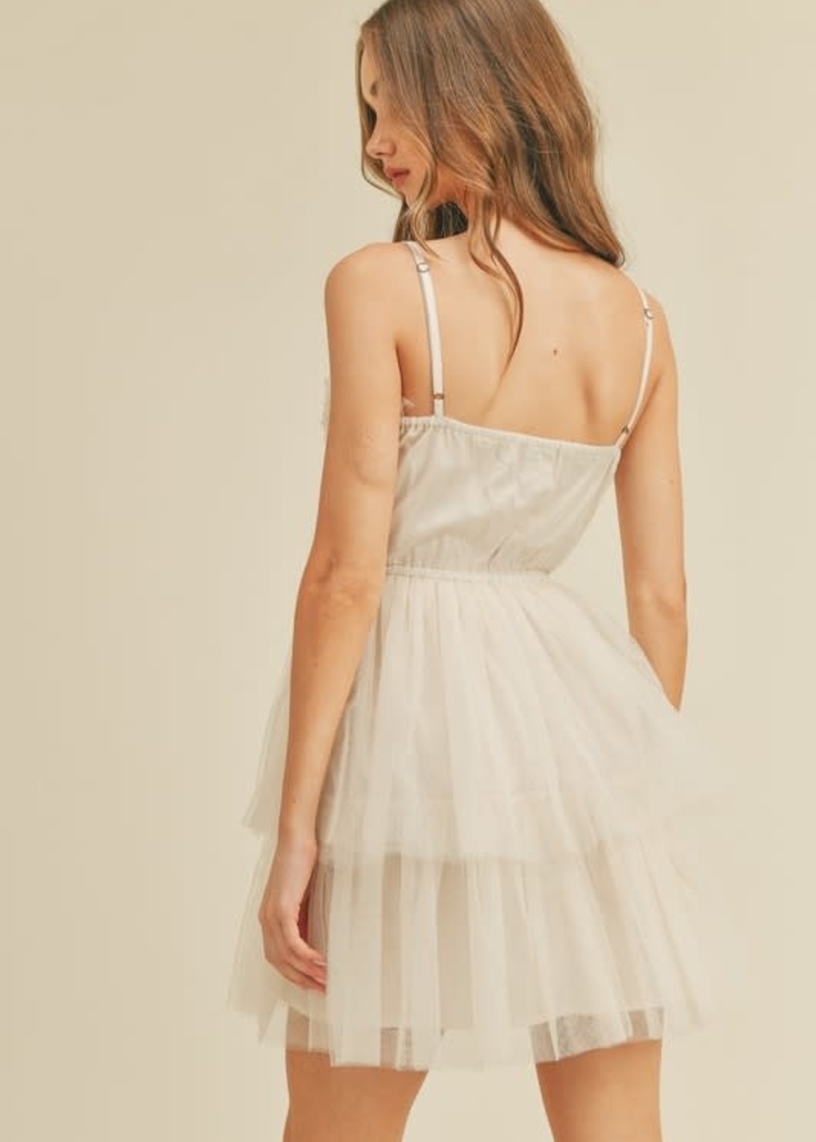 Dreams Are Made Of Tulle Dress (2 Colors)