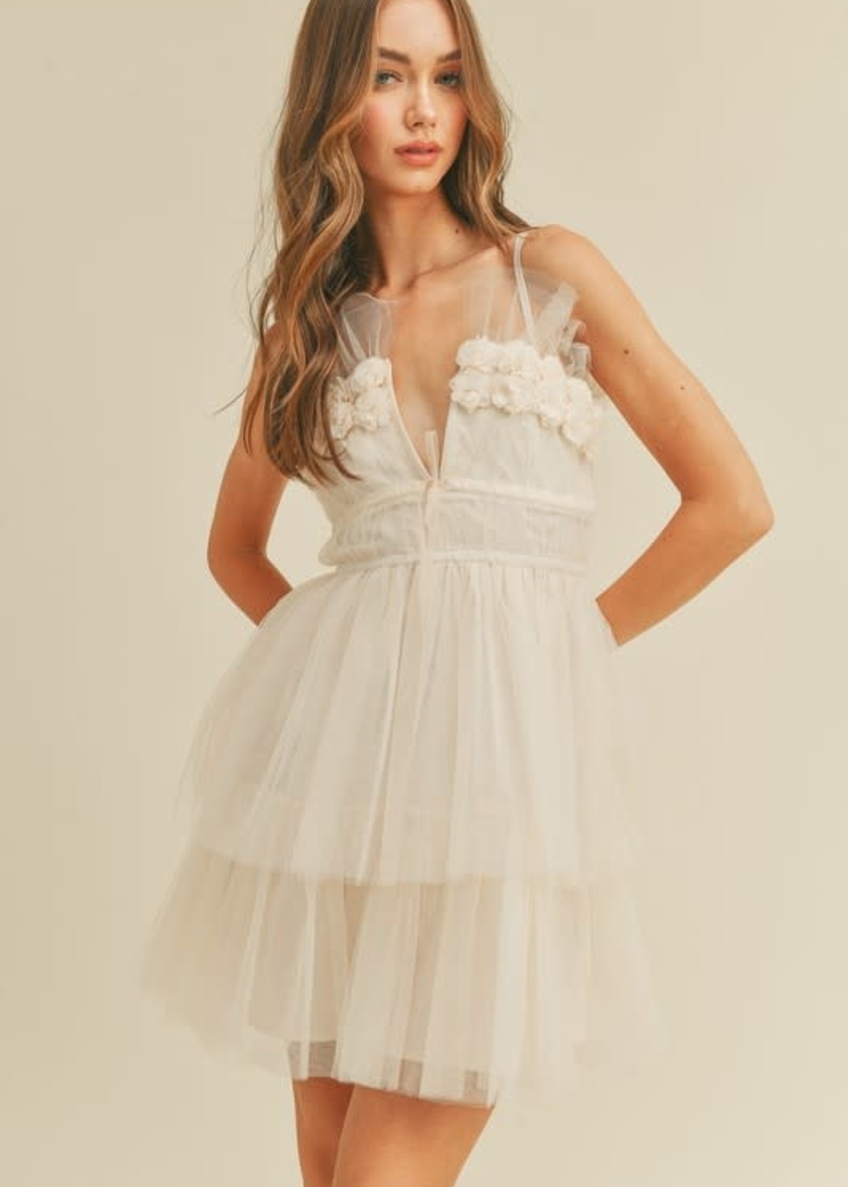 Dreams Are Made Of Tulle Dress (2 Colors)