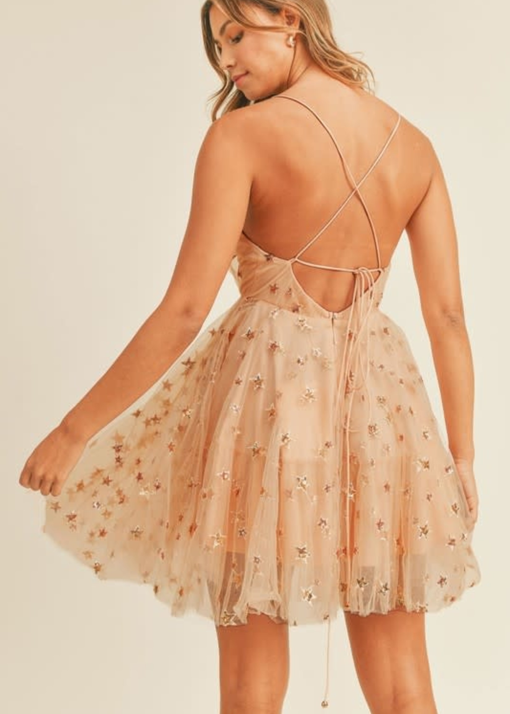 Star Struck Tulle Dress