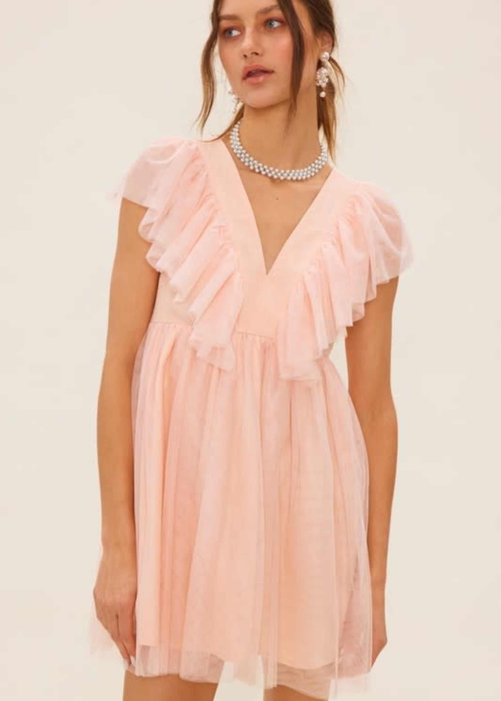 Mesh Around Blush Party Dress