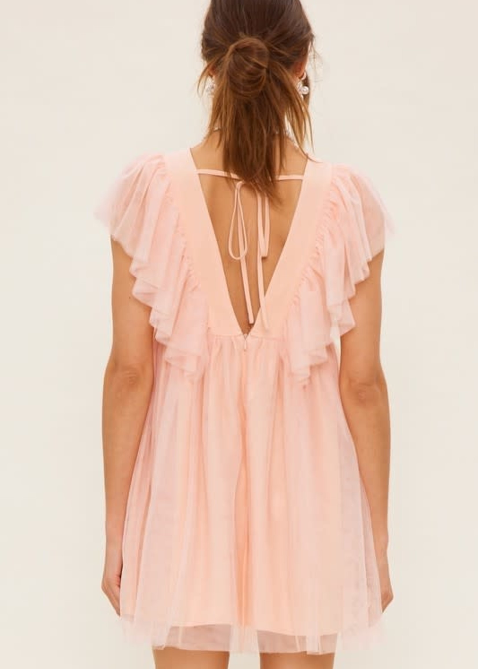 Mesh Around Blush Party Dress