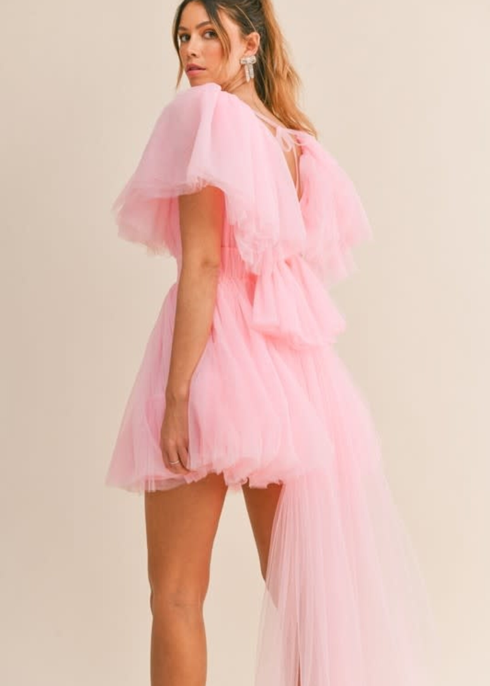 Tulle Around Pink Party Dress