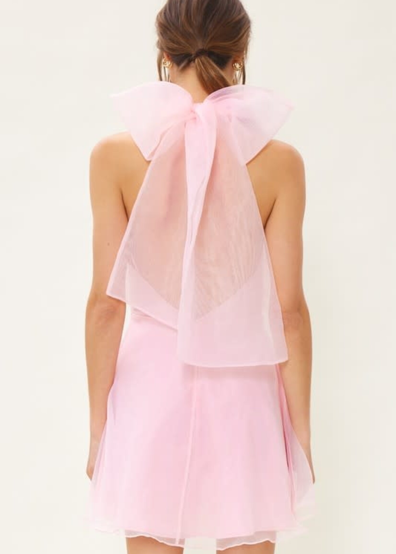 Tulle Around Pink Bow Dress