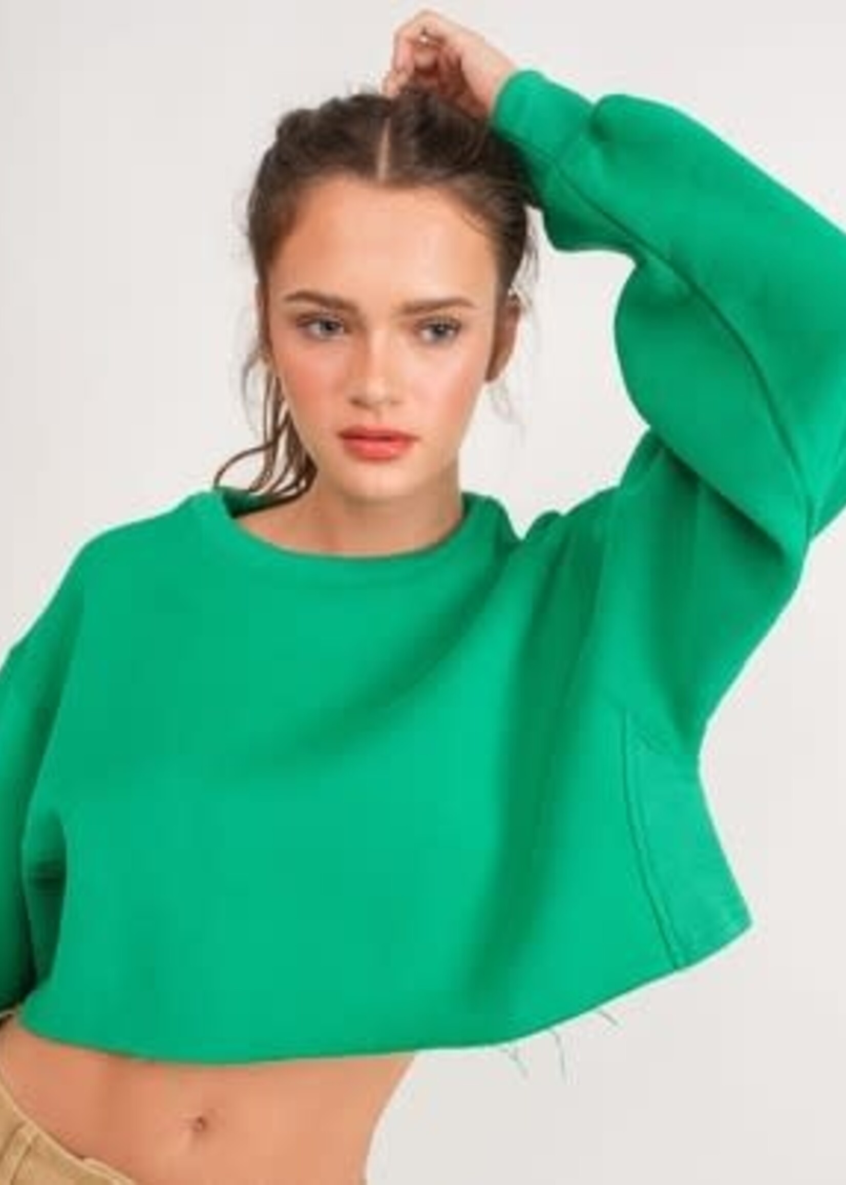 Crop Sweatshirt (5 Colors)
