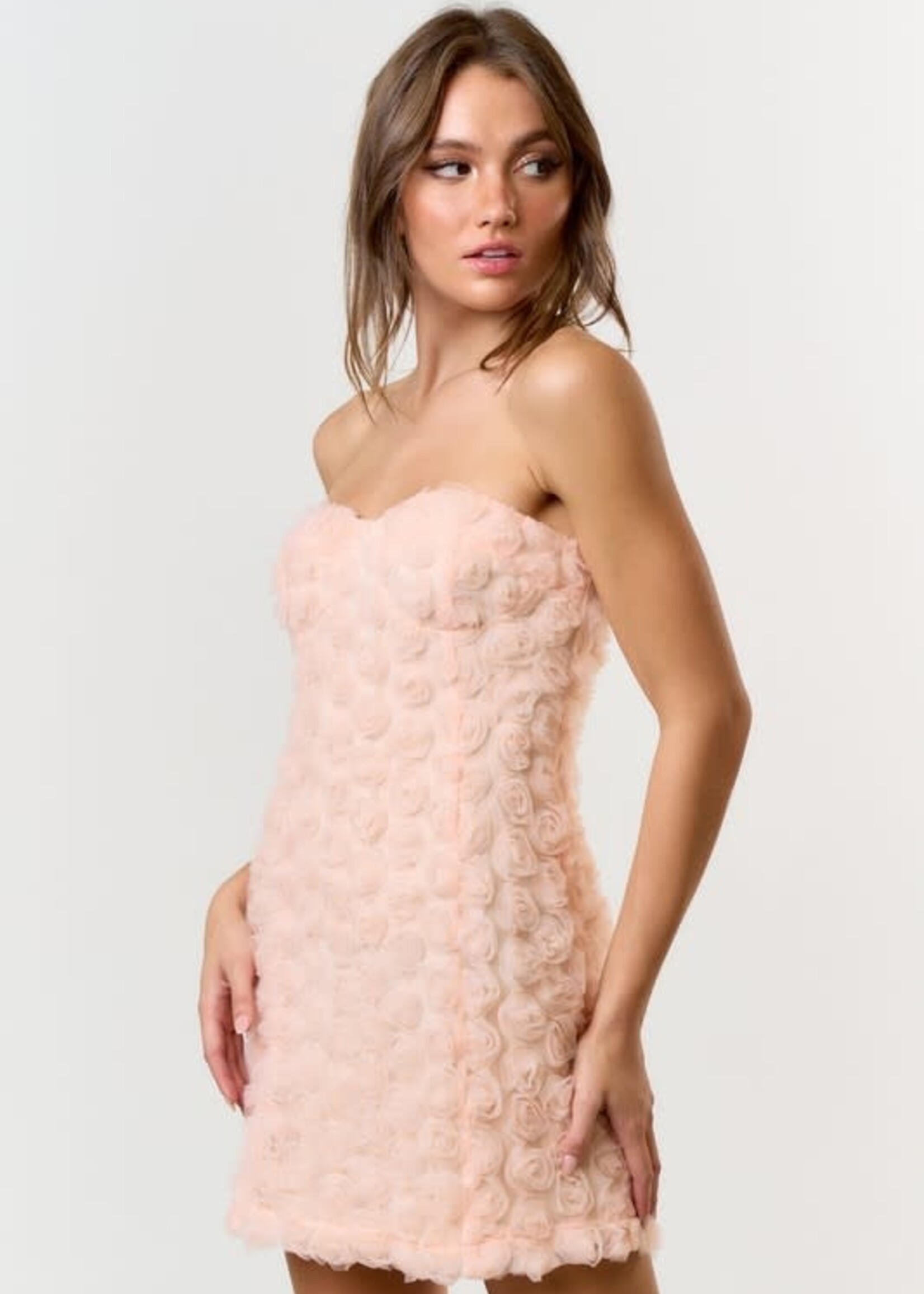 Make Me Blush Rosette Dress