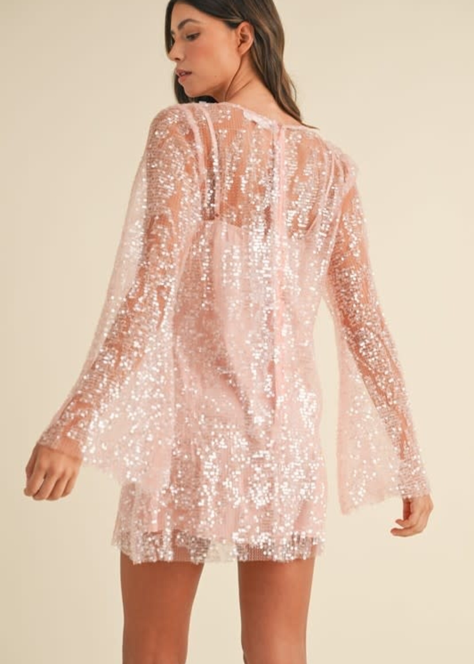 Shimmer Into The Night Dress (2 Colors)