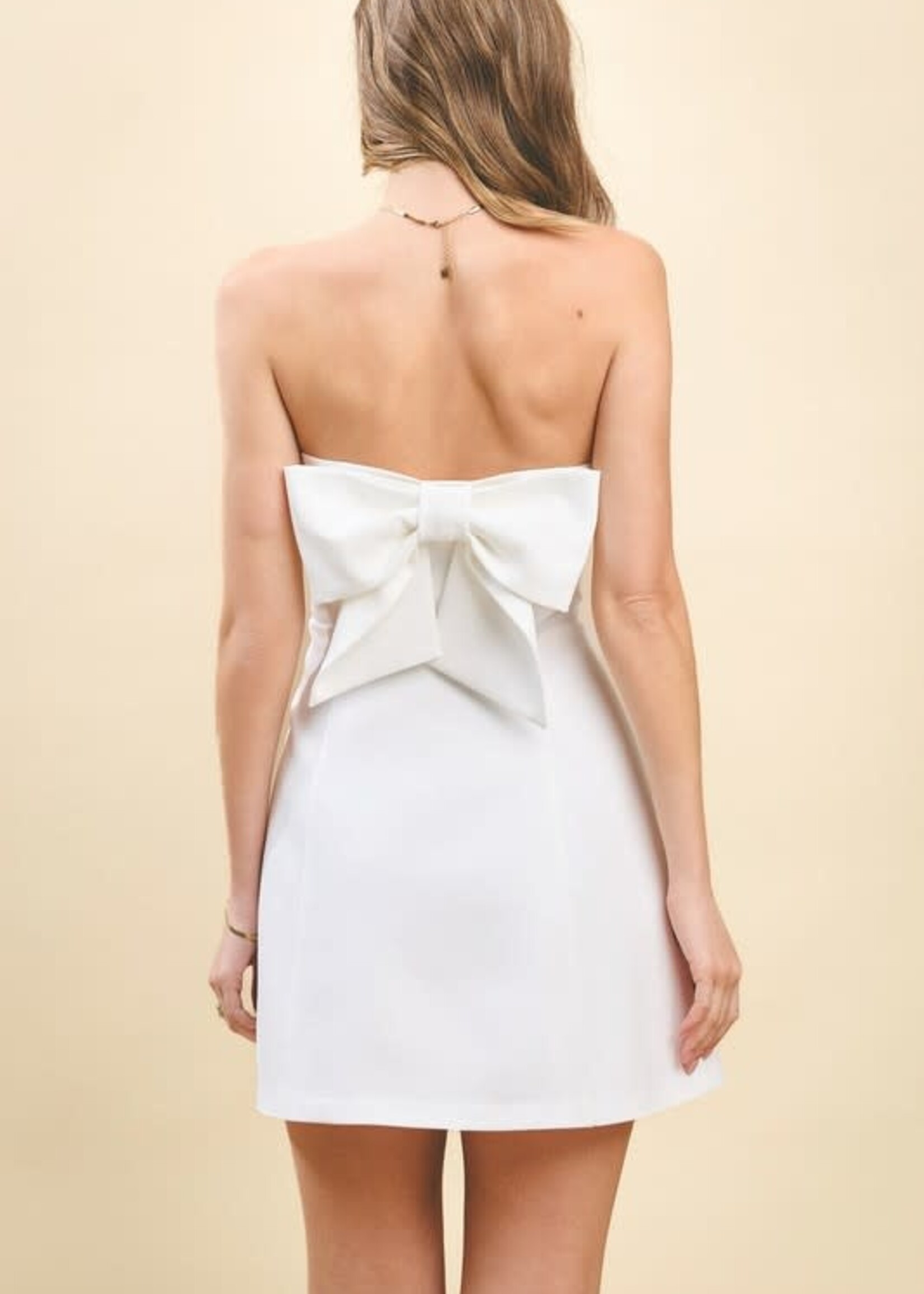 Pretty Bow Back Dress (2 Colors)