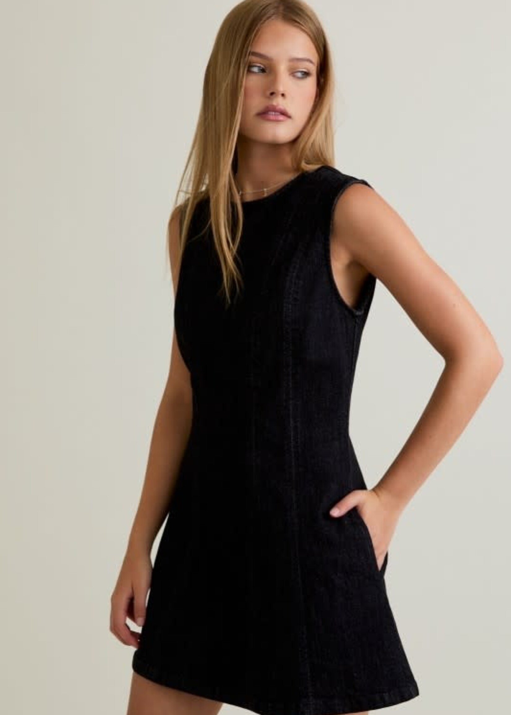 Denim Daze Dress (2 Colors)