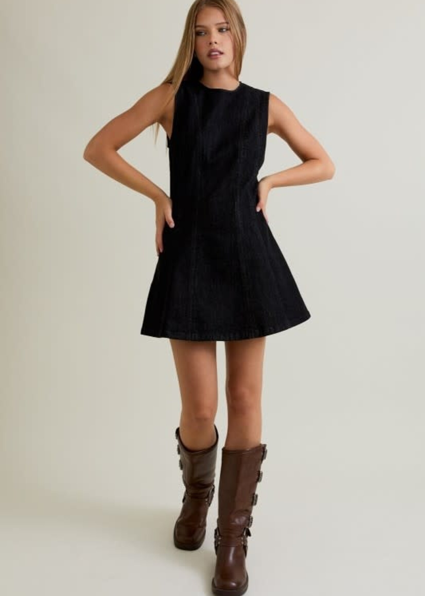 Denim Daze Dress (2 Colors)