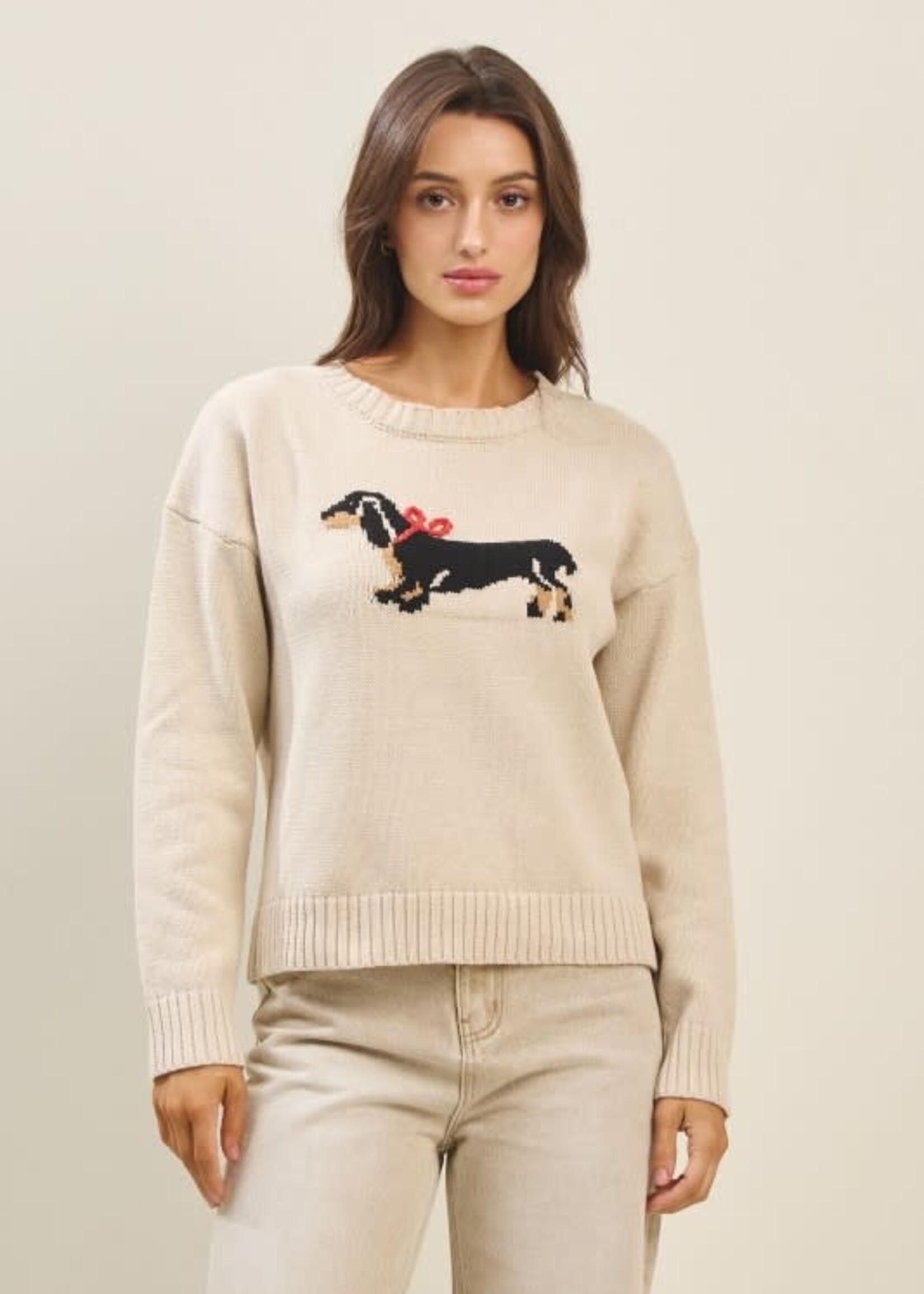 Dachshund Bow Dog Sweater