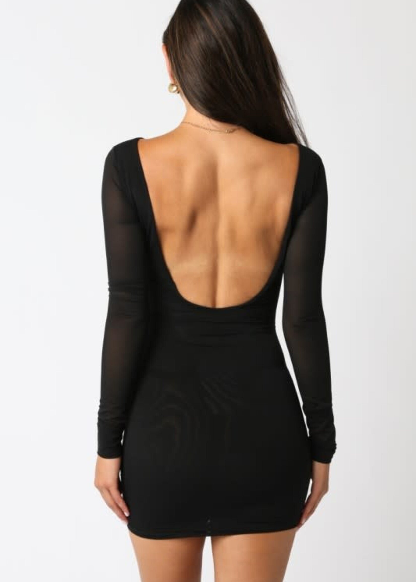 Open Back Sheer Sleeve Dress (2 Colors)
