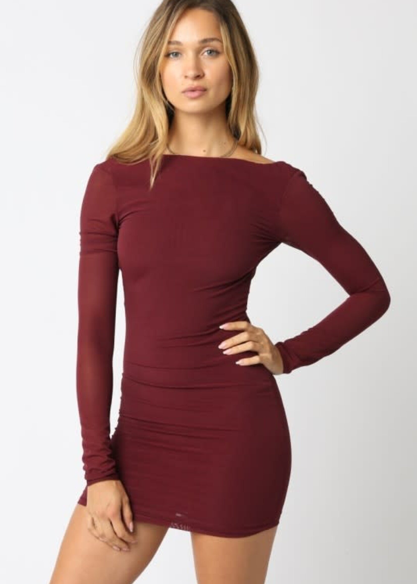 Open Back Sheer Sleeve Dress (2 Colors)