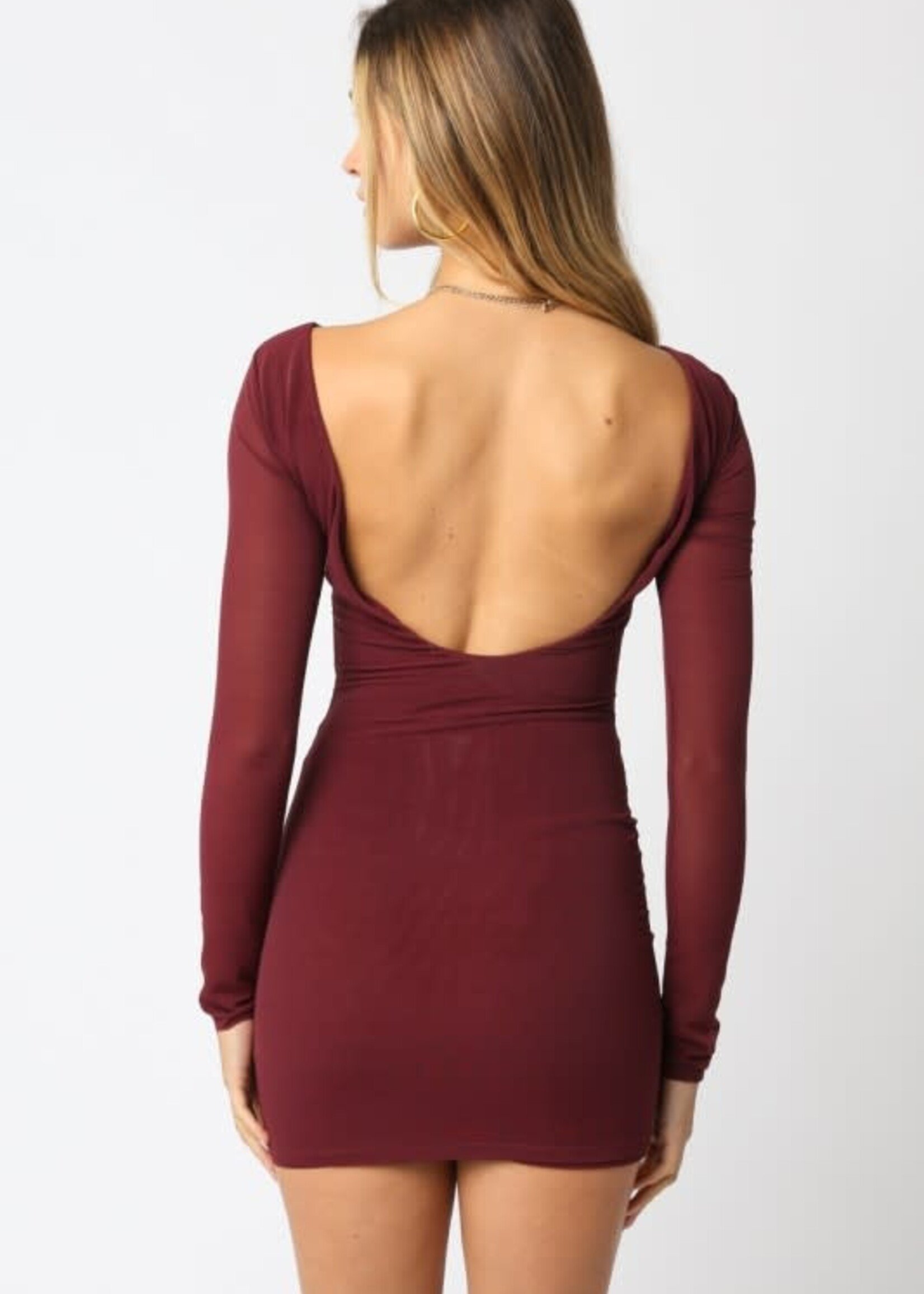 Open Back Sheer Sleeve Dress (2 Colors)